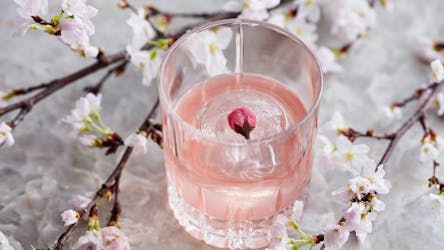 Cocktailverbindingen: online happy hour in Japan